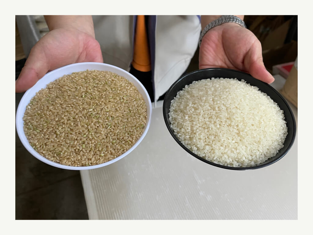 特別栽培米の玄米と白米｜御稲（みいね）プライマル